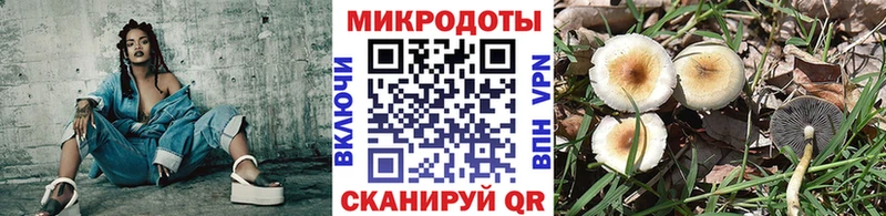 Купить закладки  Курган  Псилоцибиновые грибы мухоморы 